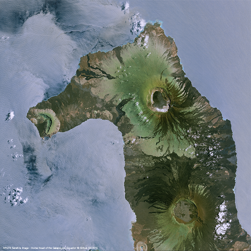 SPOT 6 - Horse Head of the Galapagos