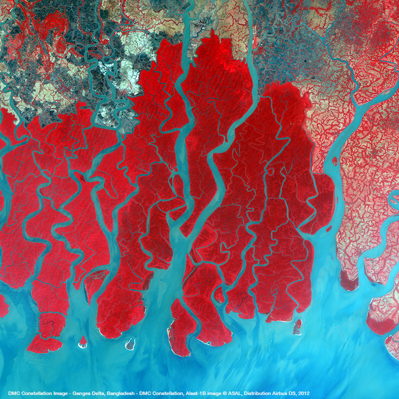 DMC Constellation Satellite Image - Ganges Delta, Bangladesh