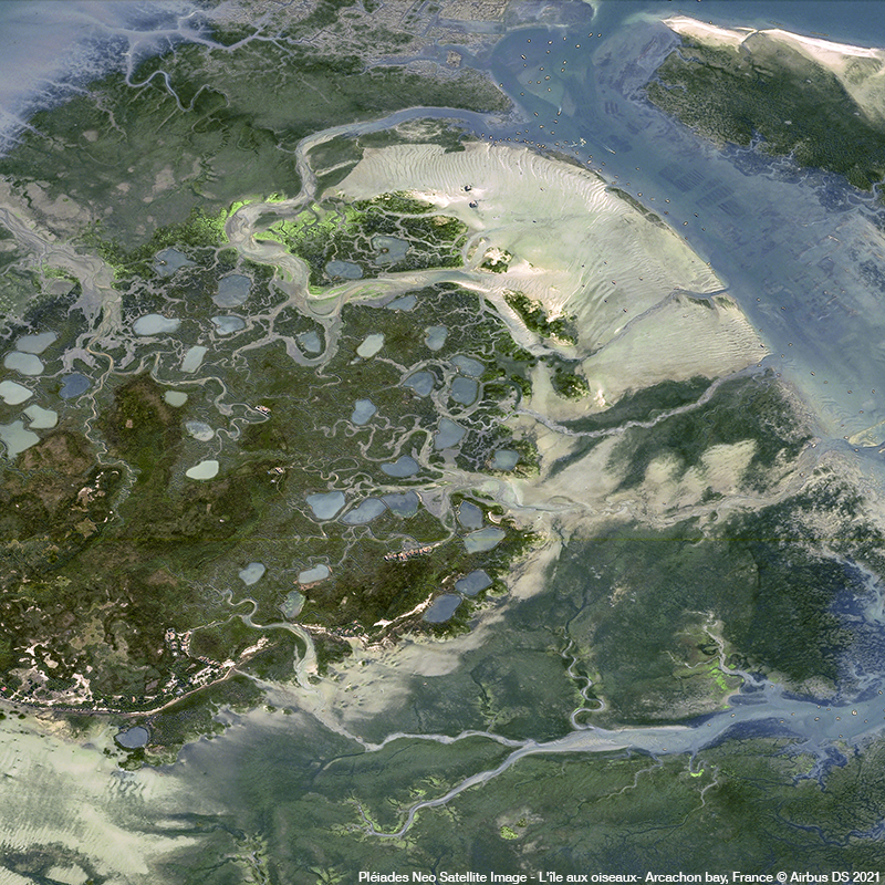 Pléiades Neo - L’île aux Oiseaux 