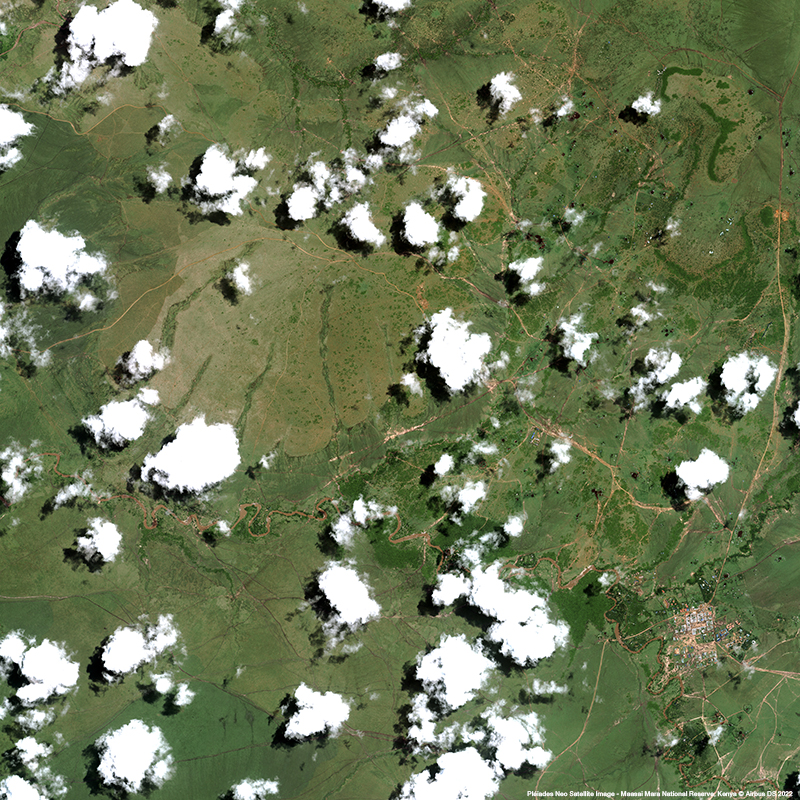 Pléiades Neo - Maasai Mara National Reserve, Kenya