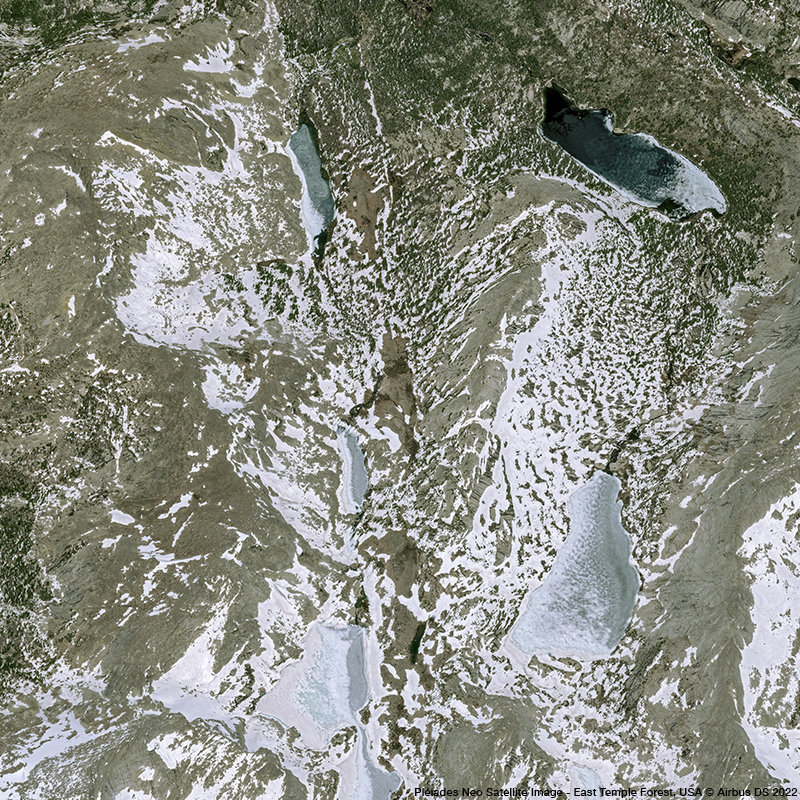 Pléiades Neo - East Temple Forest, USA