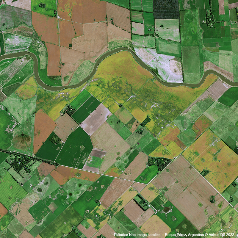 Pléiades Neo - Soybeans and Cows in Argentina