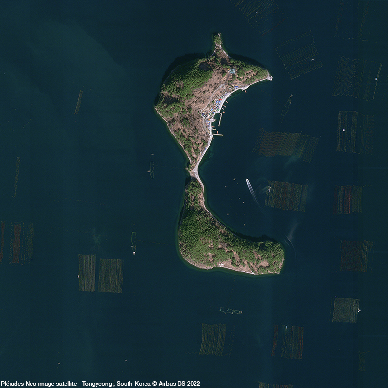 Pléiades Neo - Oysters from Tongyeong, South Korea