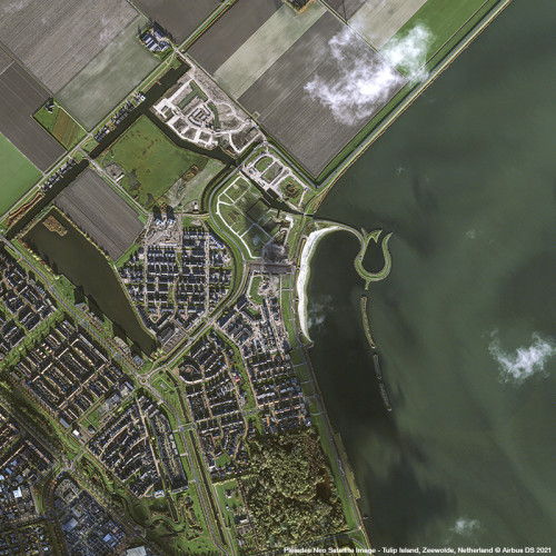 Pléiades Neo - Tulip Island, Netherlands