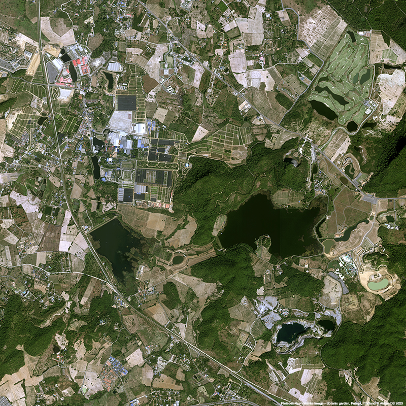 Pléiades Neo - Botanic garden, Pataya