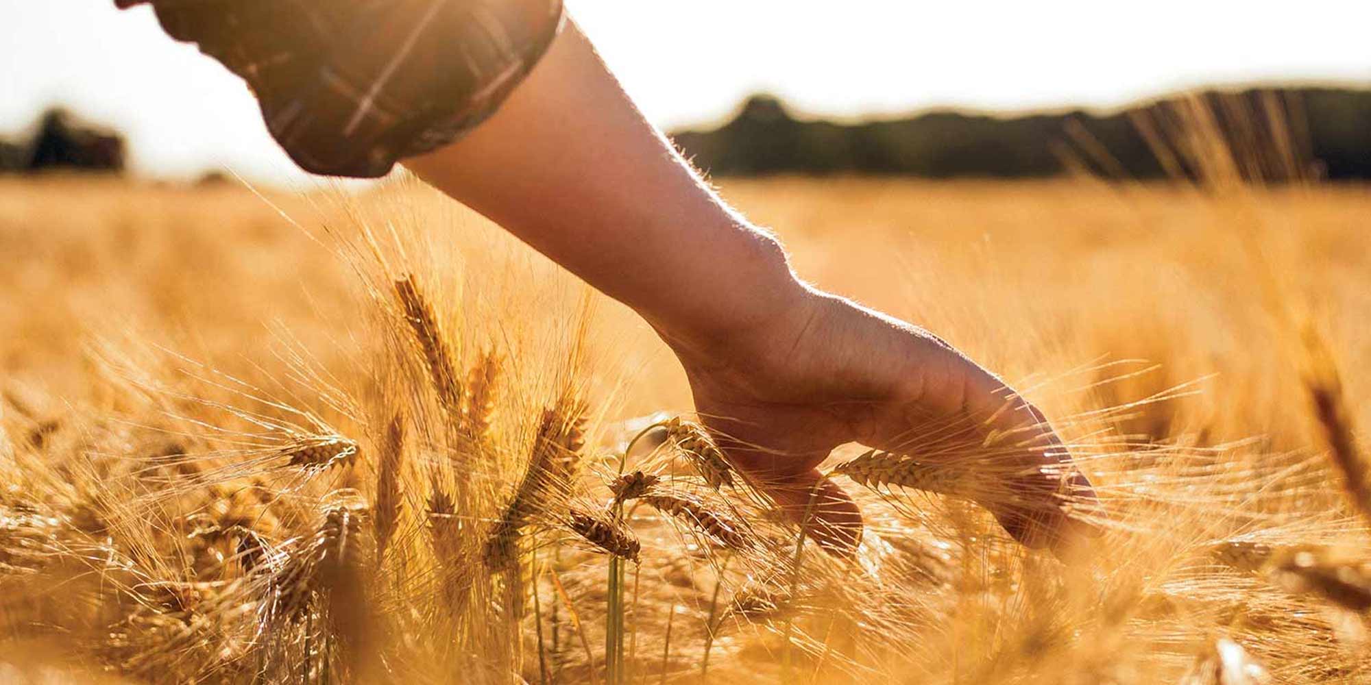 Supporting sustainable farming practices