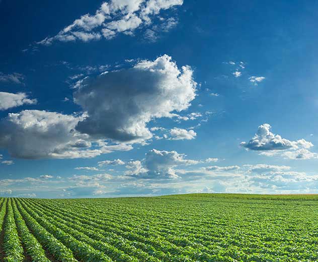 Agriculture Press Kit Agriculture Press Kit