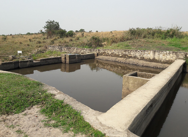 International committee red cross illustration Elevation1 case study International committee red cross illustration Elevation1 case study