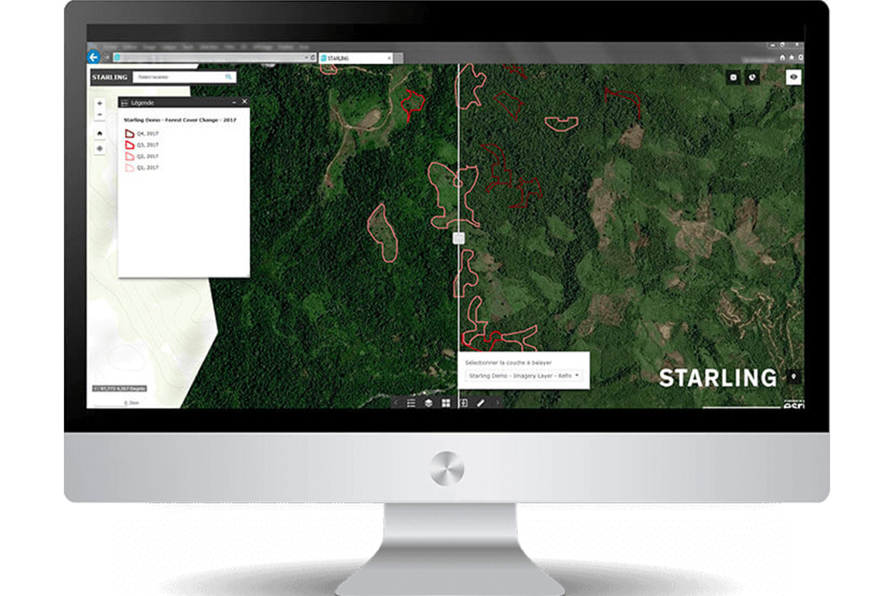 Starling Service Starling Service