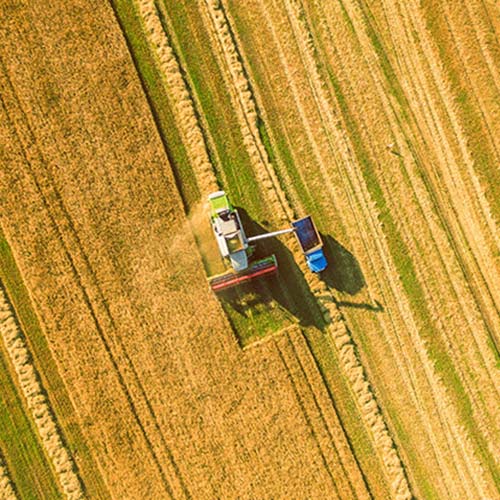 Testimony for our Agriculture Services by Prof. Dr. Elif SERTEL, Director of ITU-CSCRS