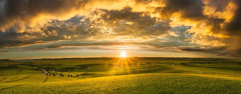 Insurance and Finance services for Agriculture Insurance and Finance services for Agriculture