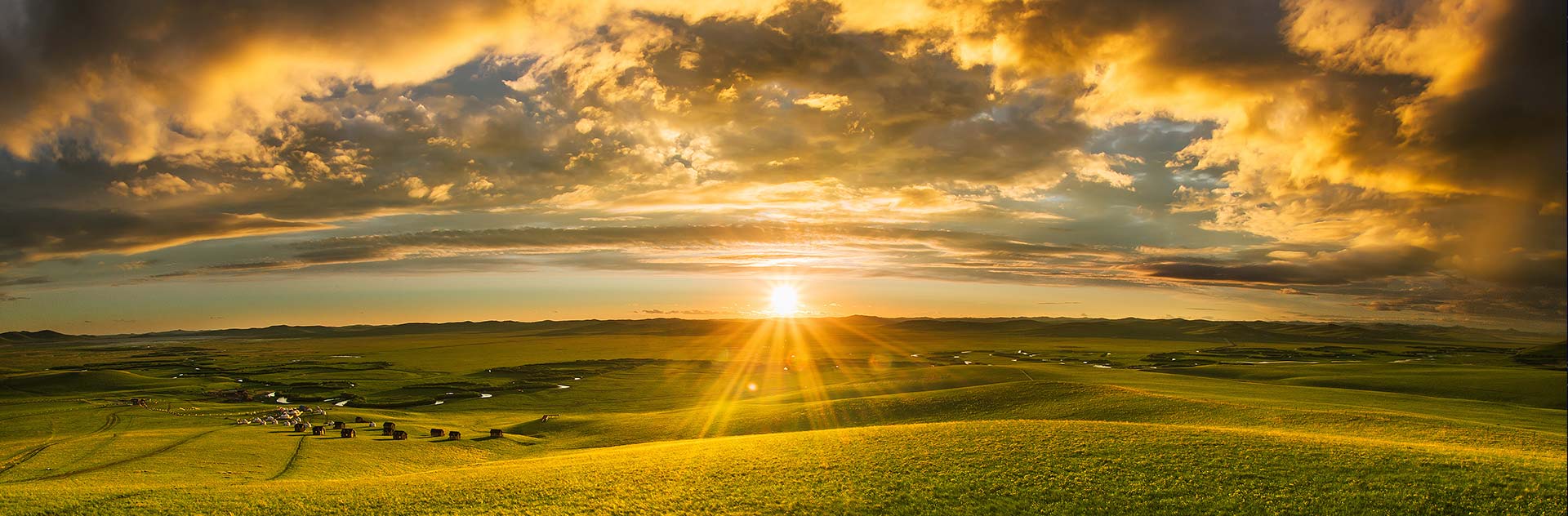 Insurance and Finance services for Agriculture