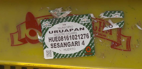 Box of avocados Box of avocados