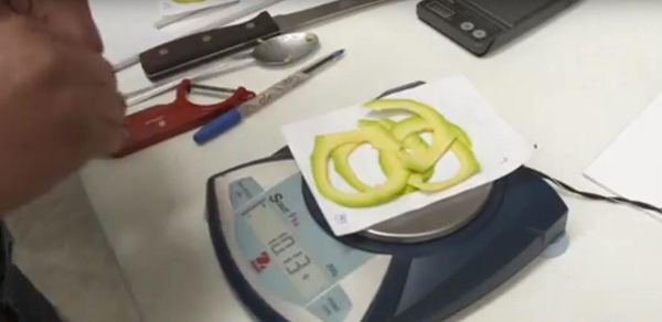 Avocado samples within packing Avocado samples within packing