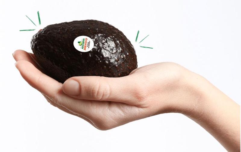 Hass avocado Hass avocado