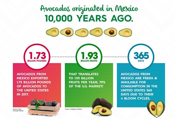 Eonomic facts and figures around avocados from Mexico Eonomic facts and figures around avocados from Mexico