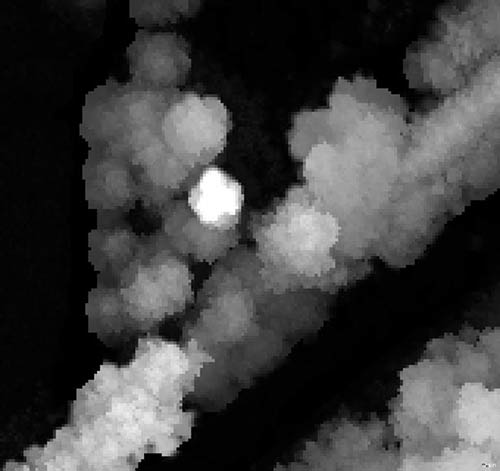 	Data preparation for vegetation assessment along railway lines