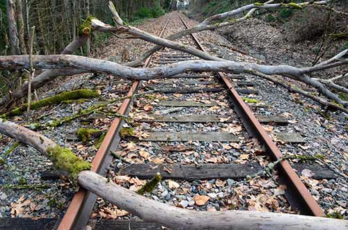 Tree trunks obstruction railway tracks Tree trunks obstruction railway tracks