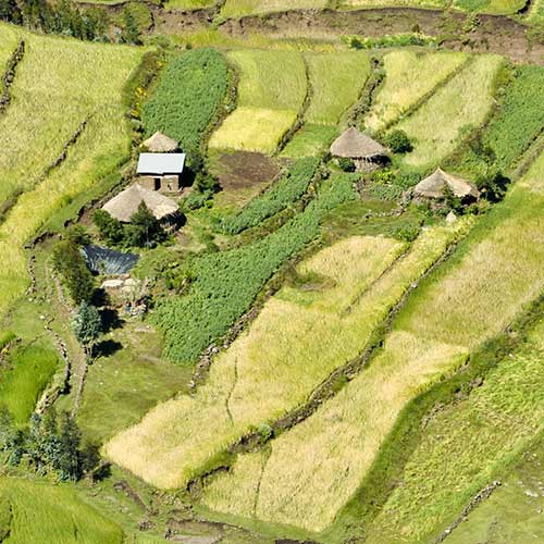 Earth observation & crop modeling to sustainably support agricultural value chain digitalization in Kenya