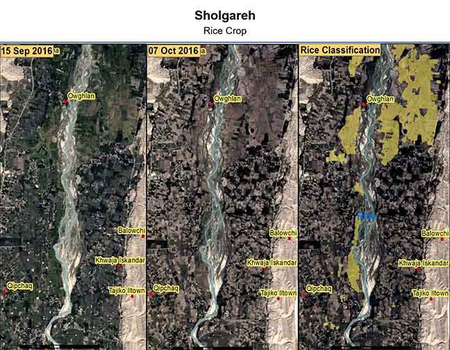 Solutions Rice Areas in Afghanistan Solutions Rice Areas in Afghanistan