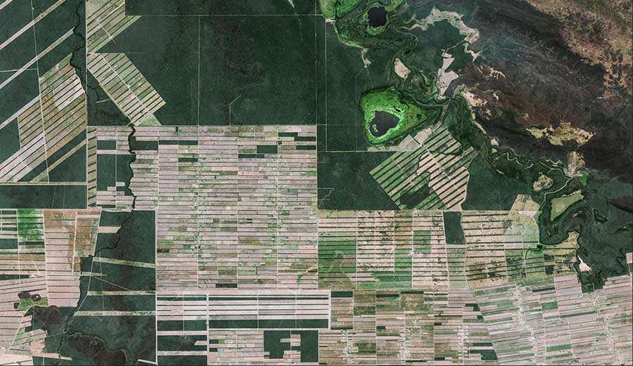 &nbsp;SPOT 6 - Bolivia - Deforestation NICFI