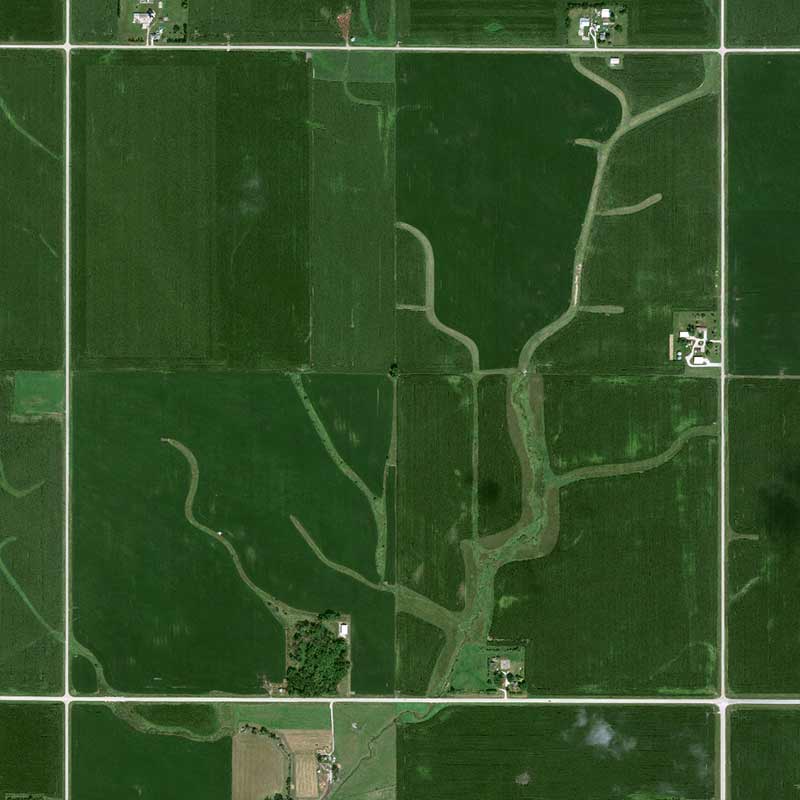 Pléiades Neo satellite image - 30 cm resolution - Corn in Iowa USA - Sustainability