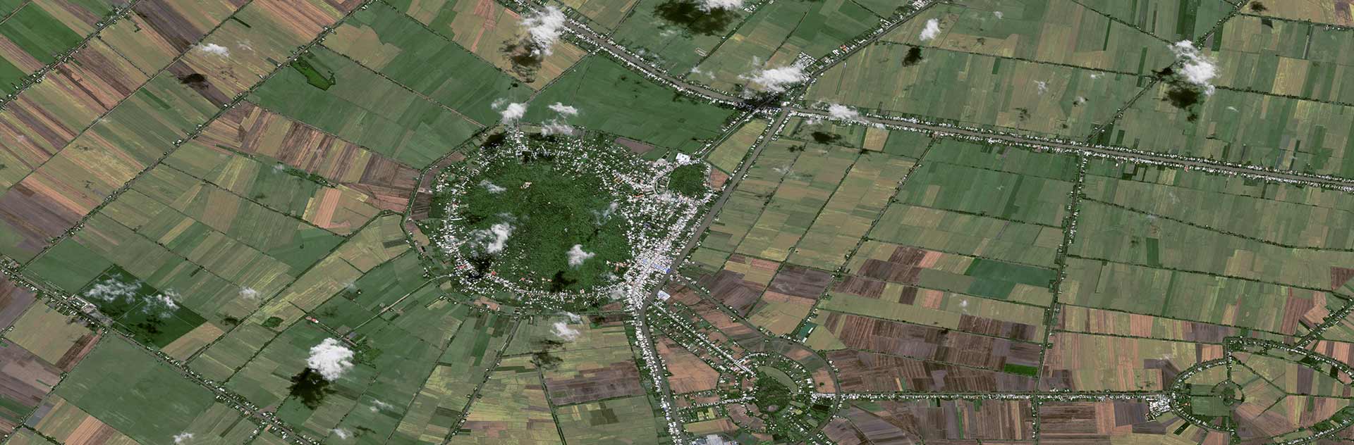 Pléiades Neo - Rice Fields in Vietnam -30cm Resolution