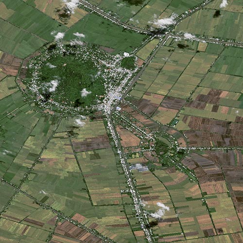 Pléiades Neo - Rice Fields in Vietnam -30cm Resolution