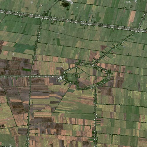 Pléiades Neo - Rice Fields in Vietnam -30cm Resolution