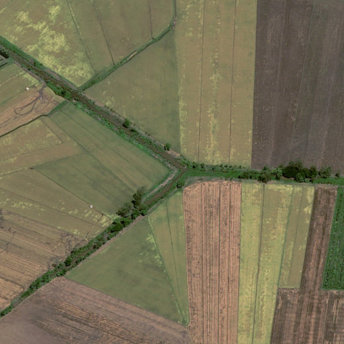 Pléiades Neo - Rice Fields -&nbsp; Óc Eo, An Giang, Vietnam&nbsp;-30cm Resolution