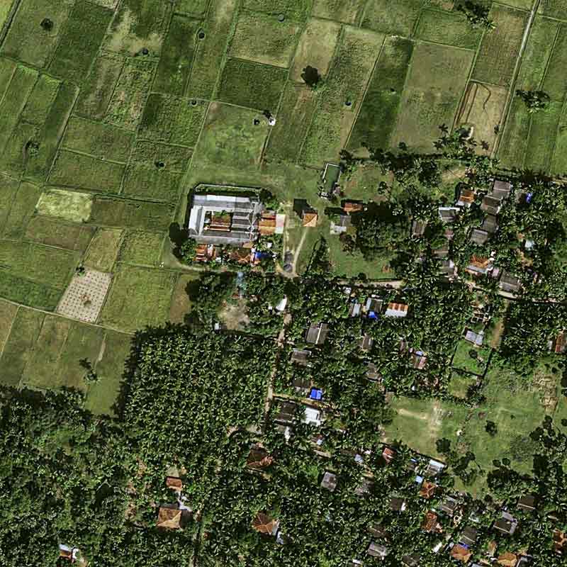 Pléiades Neo image satellite - Coconut Plantation - Sri Lanka, Manipay 30cm resolution