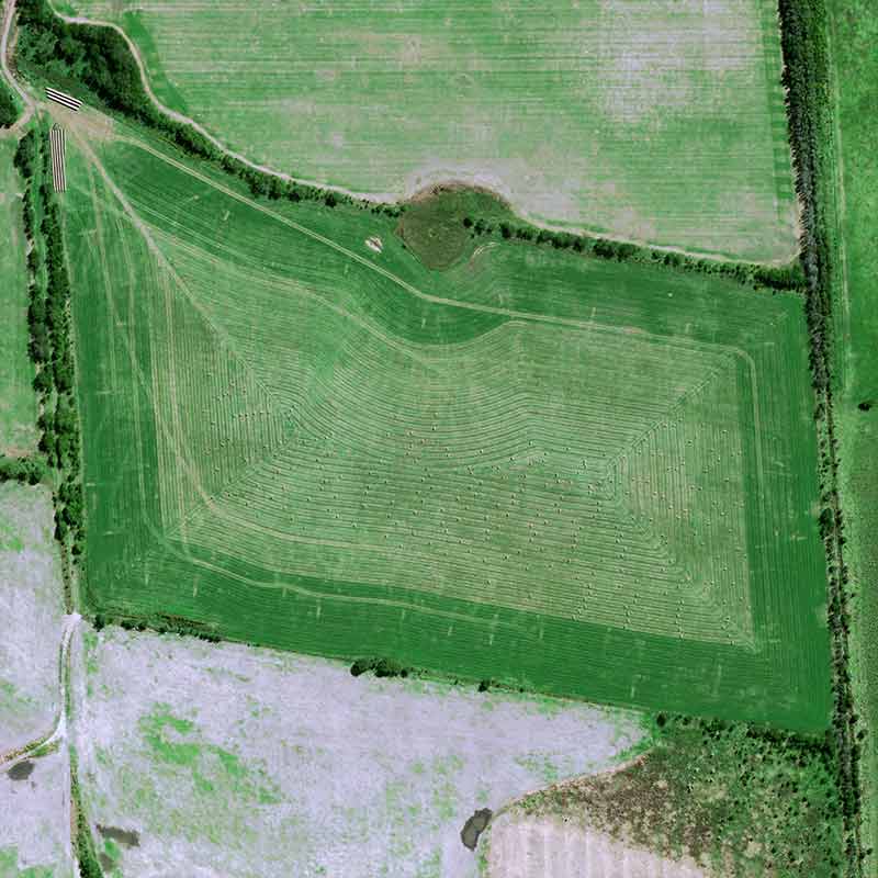 &nbsp;Pléiades Neo image shows cattle breeding concentrated around farms and soybean cultivation spread out between them on huge plots