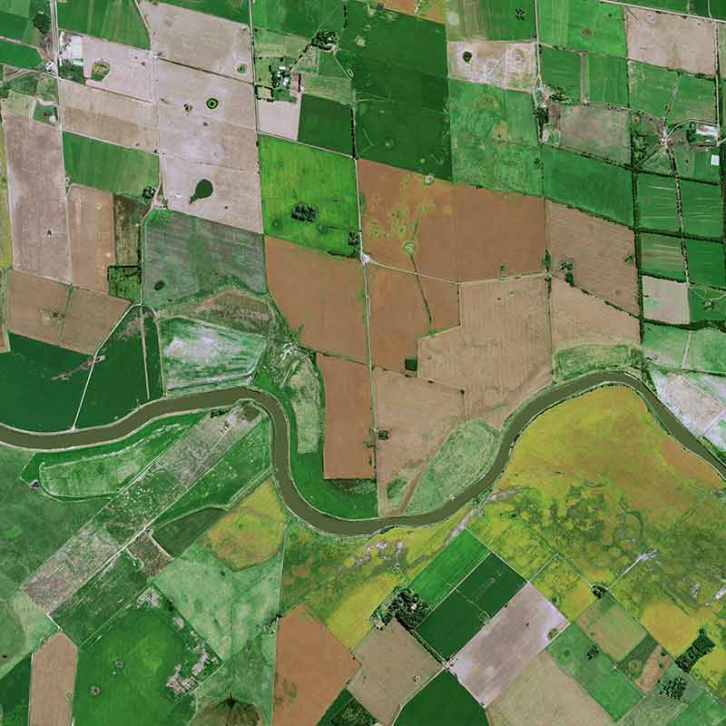 &nbsp;Pléiades Neo image shows cattle breeding concentrated around farms and soybean cultivation spread out between them on huge plots