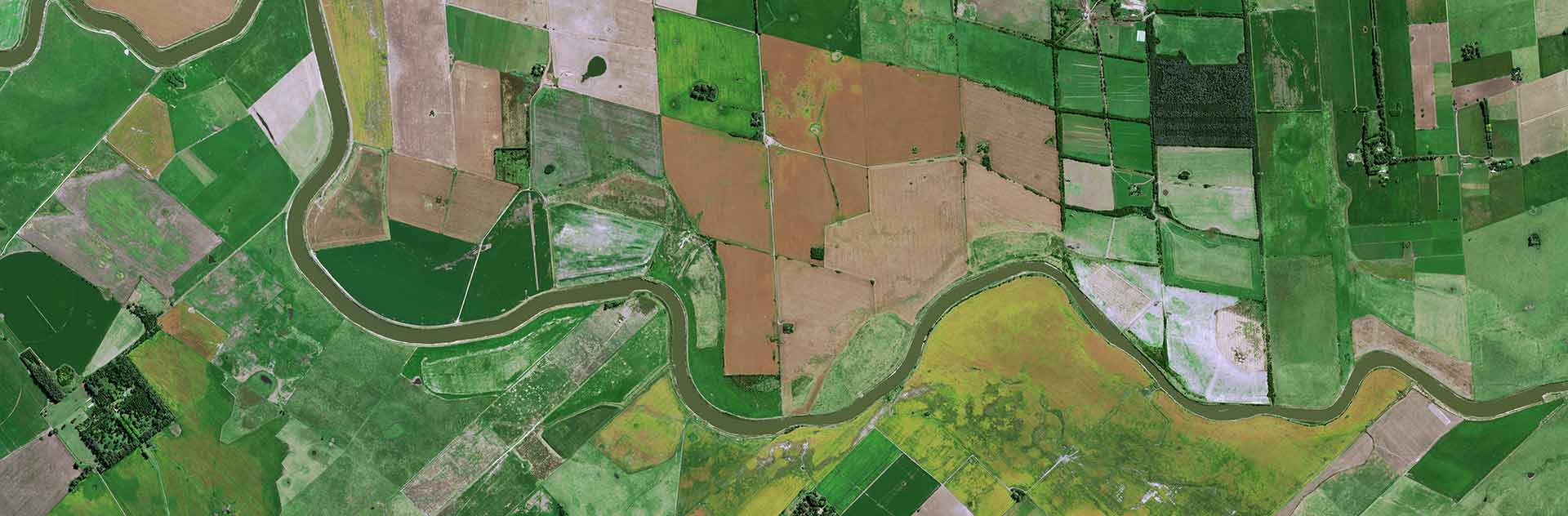 Pléiades Neo image shows cattle breeding concentrated around farms and soybean cultivation spread out between them on huge plots