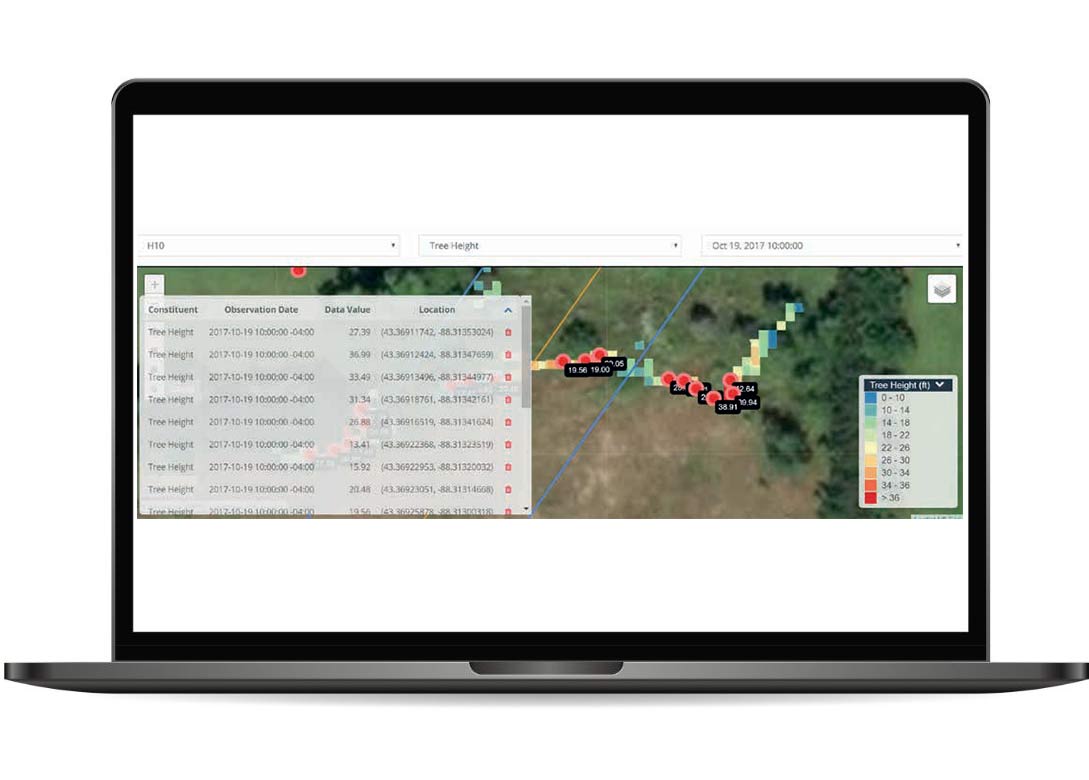 Tree Height - Satelytics