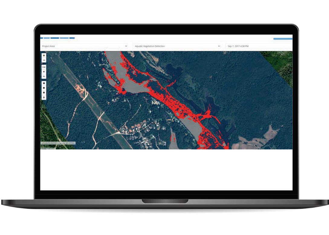Subaquatic Vegetation - Hydrilla - Satelytics
