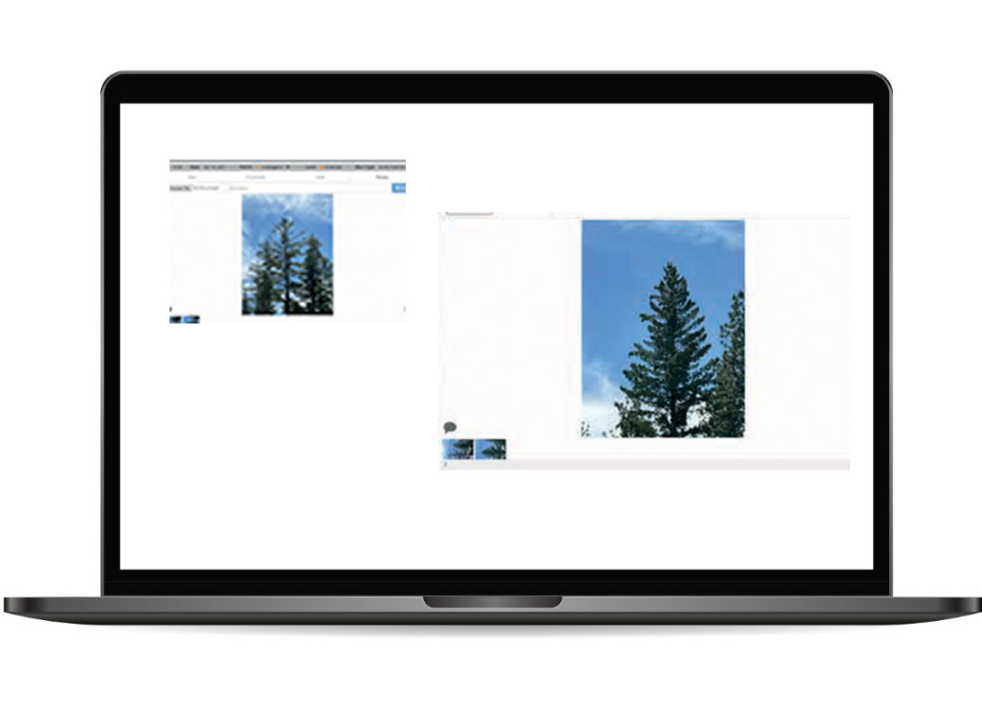 Work Verification - Satelytics