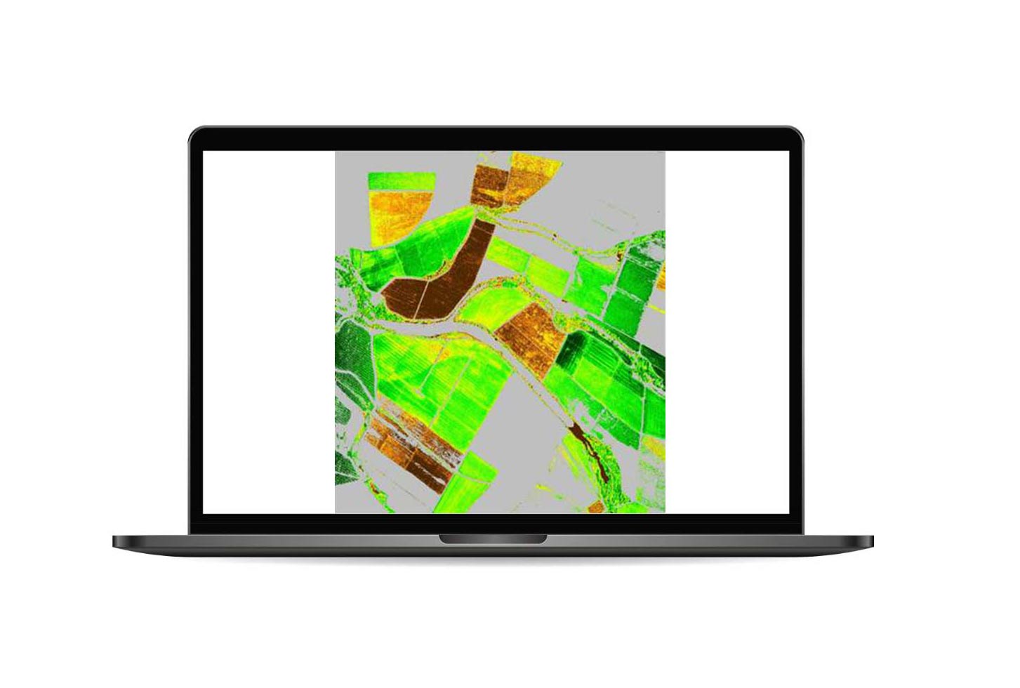 Leaf chlorophyll content - Mérida, Mexico, Pléiades Neo