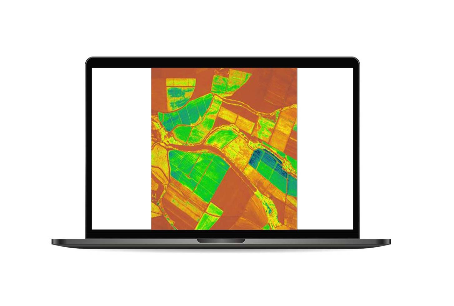Leaf area index - Mérida, Mexico, Pléiades Neo.