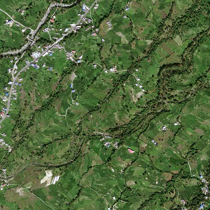 Discover this Chinese tea, introduced to India in 1852, which quickly acquired a prestigious reputation.