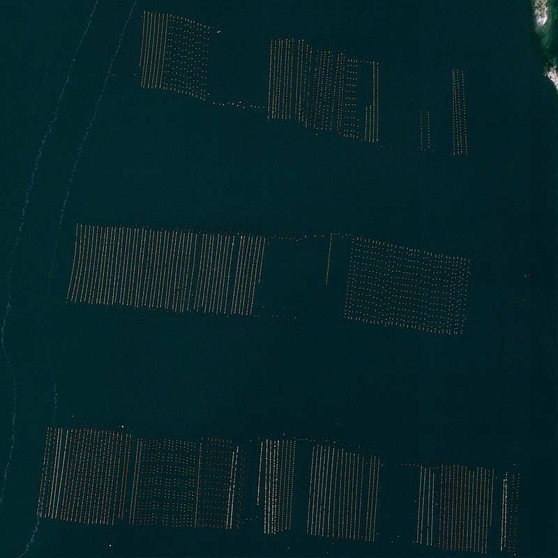 Pléiades Neo - &nbsp;Tongyeong, South Korea -30cm resolution