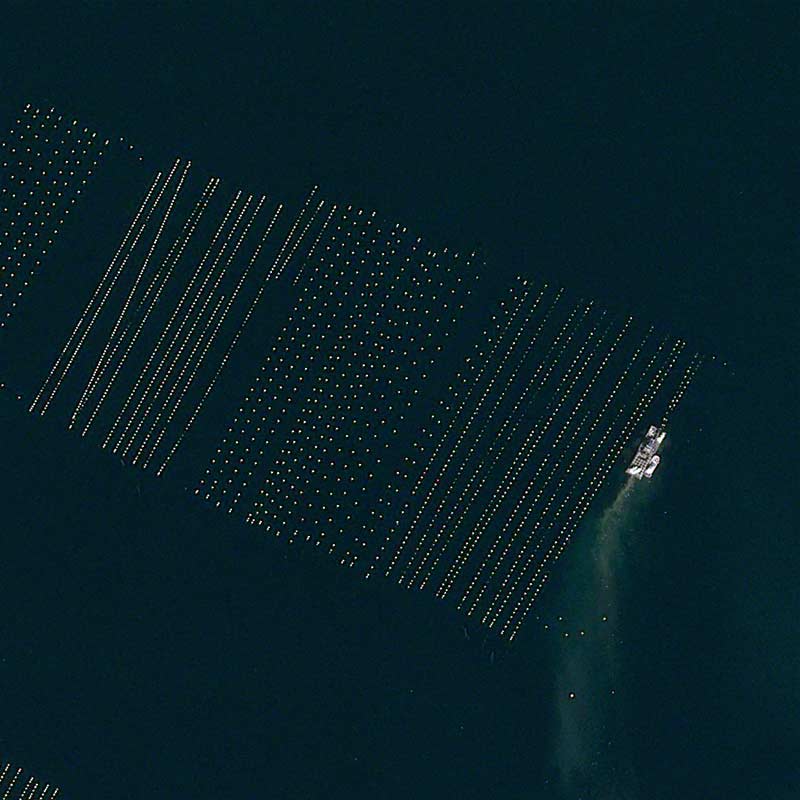 Pléiades Neo - &nbsp;Tongyeong, South Korea -30cm resolution