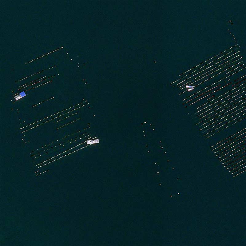 Pléiades Neo - &nbsp;Tongyeong, South Korea -30cm resolution