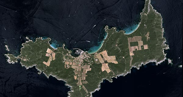 Pléiades Neo - Botanical Conservatory of Porquerolles 30cm resolution