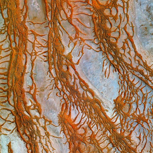 Pléiades Neo Coverage of the Namib Desert. Sand, Wind and Seals.