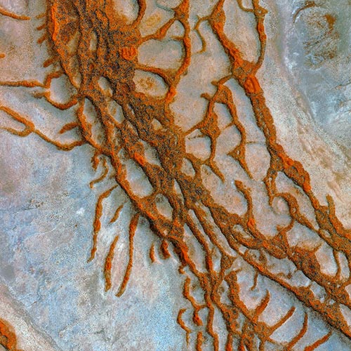 Pléiades Neo Coverage of the Namib Desert. Sand, Wind and Seals.