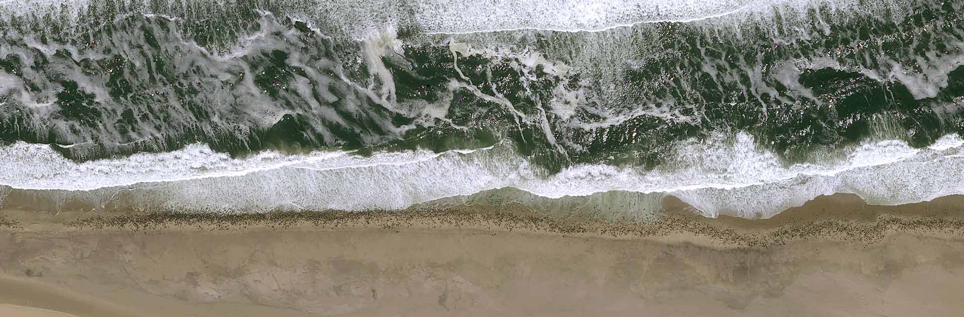 Pléiades Neo Coverage of the Namib Desert. Sand, Wind and Seals.