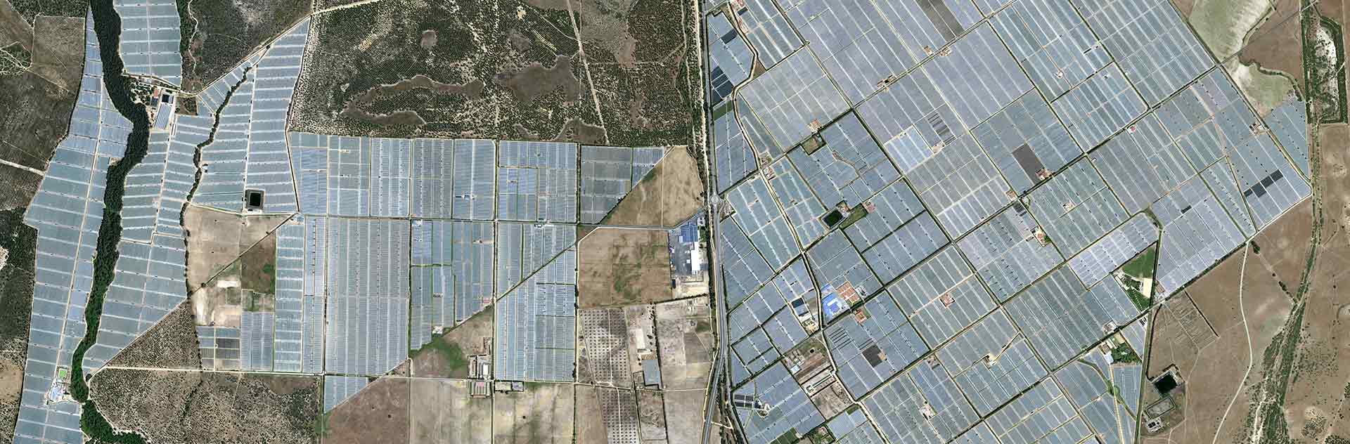 Pléiades Neo - El Rocio, Spain - 30cm resolution - Strawberries at the mouth of the Guadalquivir