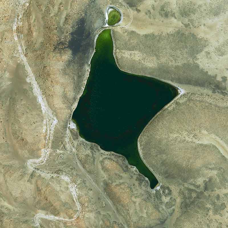 Chungará is a lake situated in the extreme north of Chile at an elevation of 4,517 m &nbsp;in the Altiplano.&nbsp;