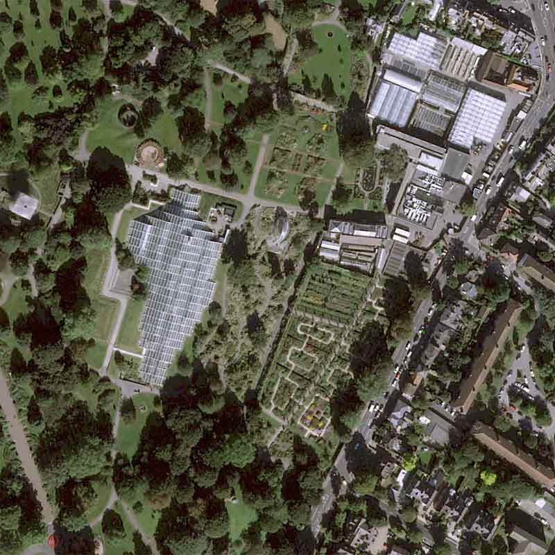 Pléiades Neo Image satellite - Royal Botanic Gardens of London Kews Gardens - 30cm resolution